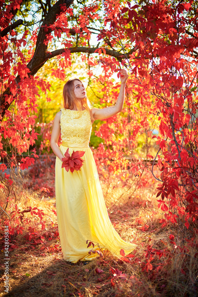 girl in yellow dress autumn foliage