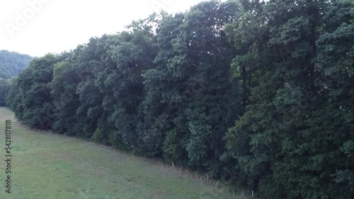 Wald in Odenthal Altenberg Burscheid mit der Drone photo