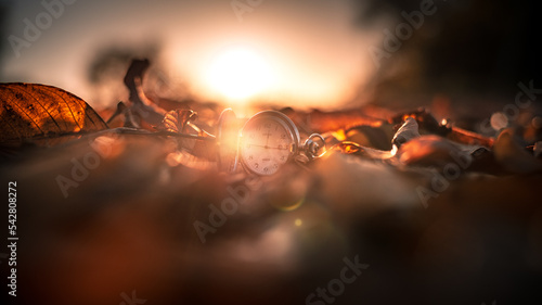 Taschenuhr liegt in Herbstlaub dass von einem Sonnenuntergang angeleuchtet wird