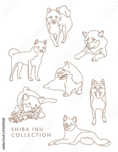 Shiba Inu Dog Outline Illustrations in Various Poses