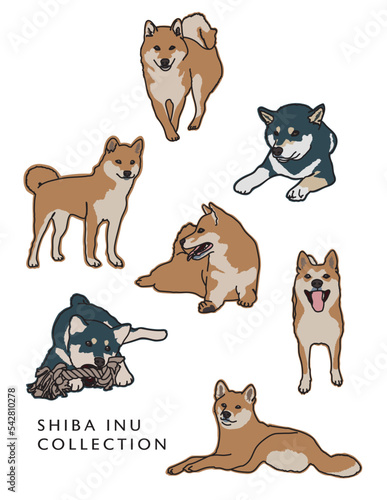 Shiba Inu Dog Color Illustrations in Various Poses