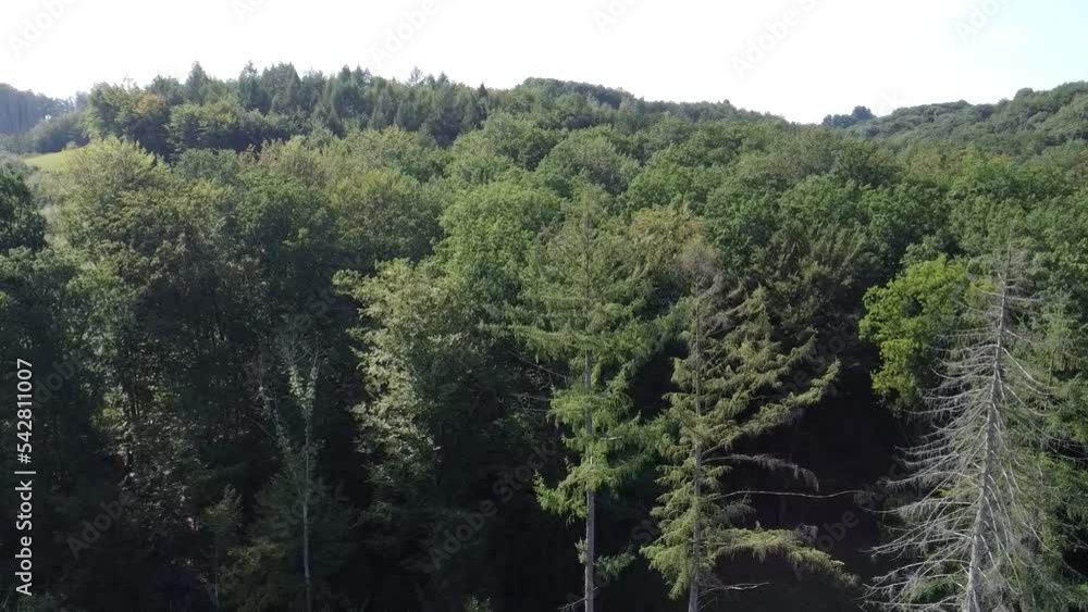 Wald in Odenthal Altenberg Burscheid mit der Drone Wald in Odenthal Altenberg Burscheid mit der Drone