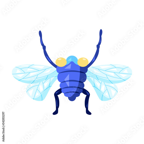 Isolated colored fly bug icon with details Vector