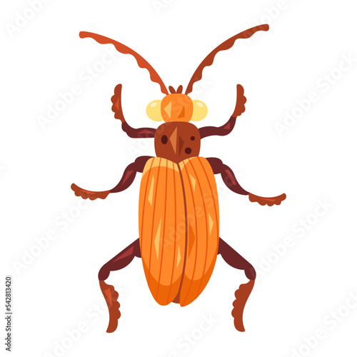 Isolated colored cockroach bug icon with details Vector