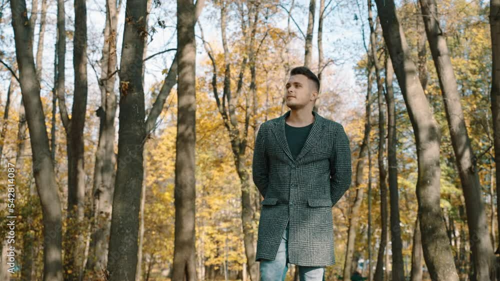 A cute boy is walking in the autumn park and enjoying nature and fresh air and fallen leaves. A person rests among nature. Peace of mind. A charge of positive energy among trees with yellowed leaves. A cute boy is walking in the autumn park and enjoying nature and fresh air and fallen leaves. A person rests among nature. Peace of mind. A charge of positive energy among trees with yellowed leaves.