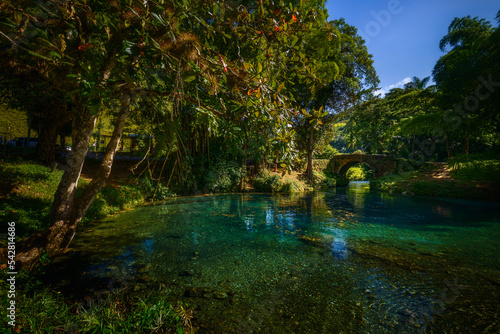 reflection of trees in the water