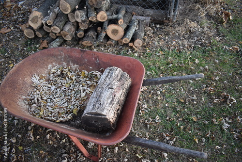 Wallpaper Mural Wheelbarrow by a Woodpile Torontodigital.ca