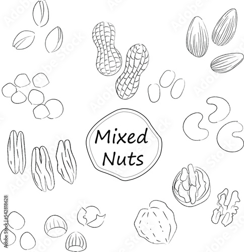 ナッツのイラストセット　モノクロ線画　文字なし