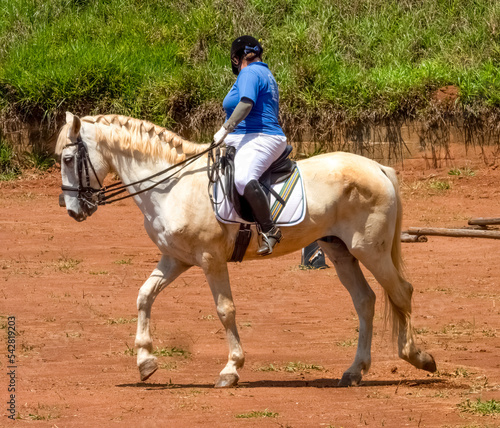 Horseback riding on a sunny day. Dressage training. Woman riding a white lusitano horse.