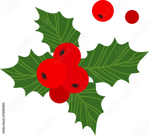Christmas holly berry vector icon, mistletoe and leaf, red ilex branch, cartoon xmas plant. Holiday nature illustration