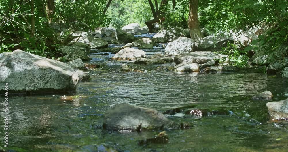 a beautiful mountain waterfall flows through the rocks, its water washes stones and trees a beautiful mountain waterfall flows through the rocks, its water washes stones and trees