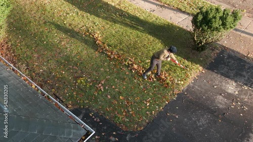 A person raking leaves into lines to clean up their yard. photo