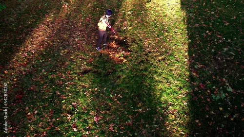 High angel in saturation of raking leaves. photo