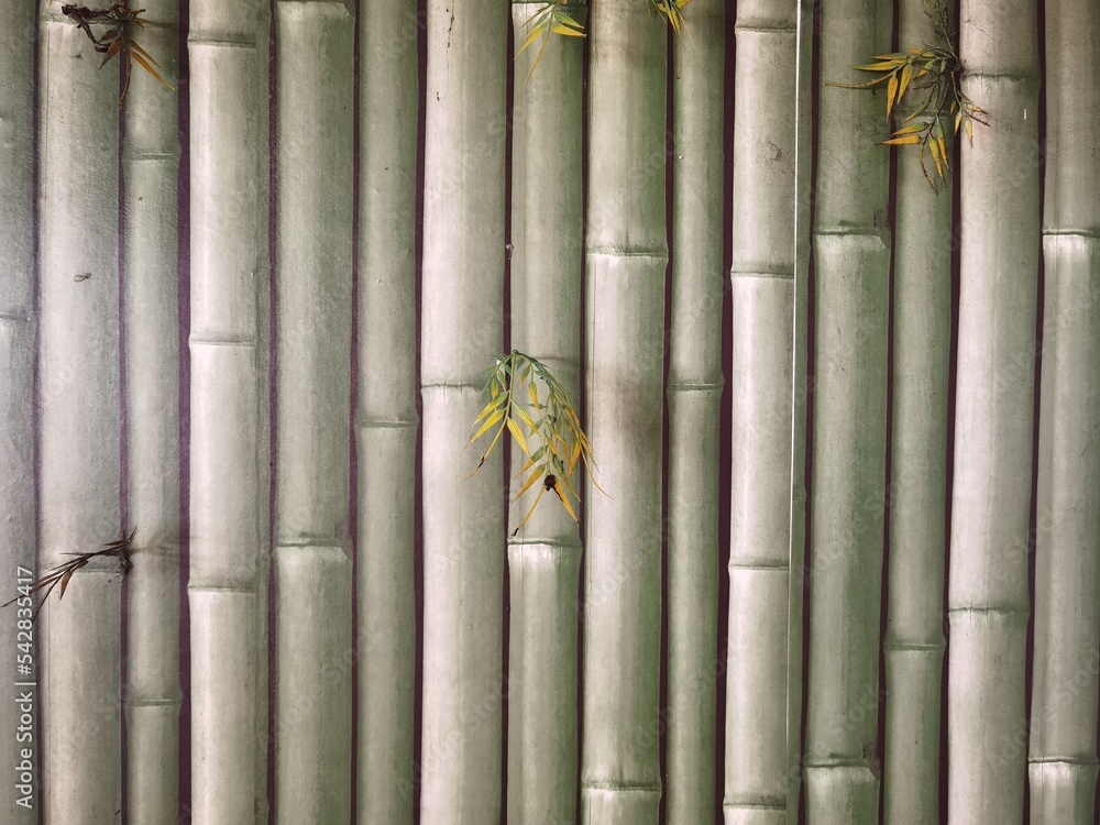 wall with green bamboo background wall with green bamboo background