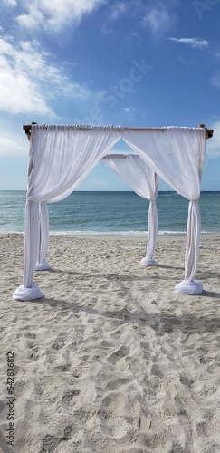 future beach wedding