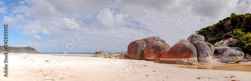 Panoramic of Whiskey bay beach and surrounding native bush land, famous red rocks, Wilson's Promontory National Park, Victoria, Australia photo