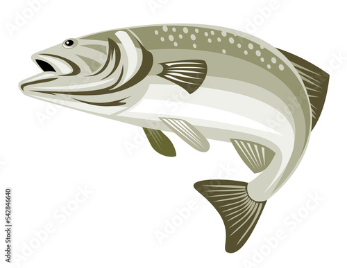 illustration of a largemouth bass jumping done in retro style photo