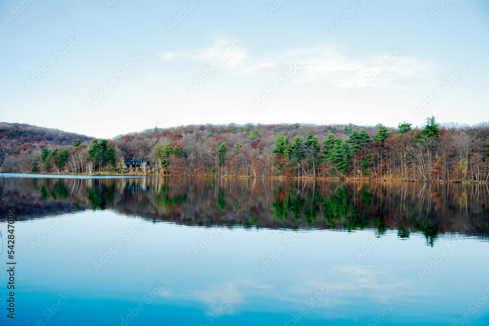 Beautiful Forest and lake Landscape