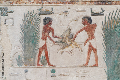 bemaltes ägyptisches Relief aus Kalkstein aus dem alten Reich, 5. Dynastie mit einer landwirtschaftlichen Szene