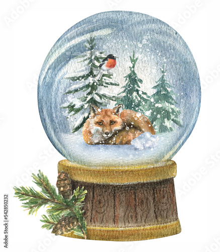 Watercolor New Year's illustration of a snow globe in which lies a red fox with a bullfinch and Christmas trees in the snow