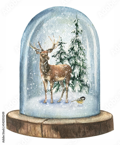 Watercolor New Year illustration of a snow globe in which there is a wild deer and Christmas trees in the snow