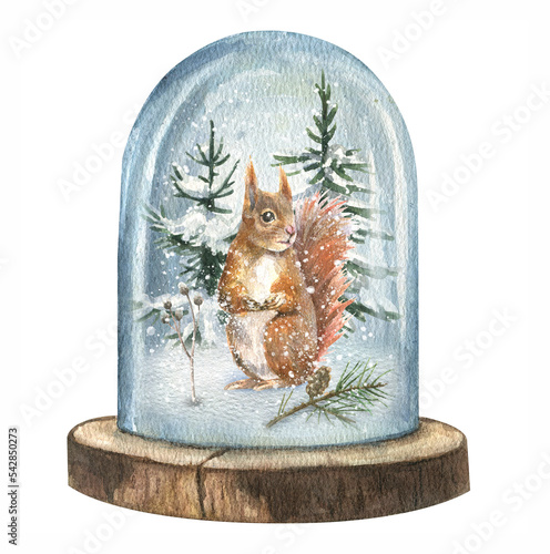 Watercolor Christmas illustration of a snow globe, cute squirrel, snow fir trees in the snow. Christmas illustration isolated on white background