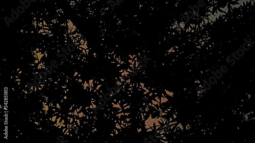 Nature wallpaper shadow pic 