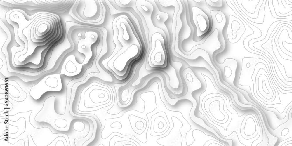 Topographic patter line map background. silver line topography maount map contour background, geographic grid. Abstract vector illustration.	
