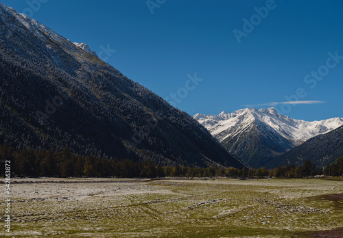 journey by Irkis valley, Arkhyz, Karachay-Cherkessia, North Caucasus. snowy mountain valley with blue sky and clouds and beautiful forest near river Psysh, Caucasus nature reserve. Alpine landscape.