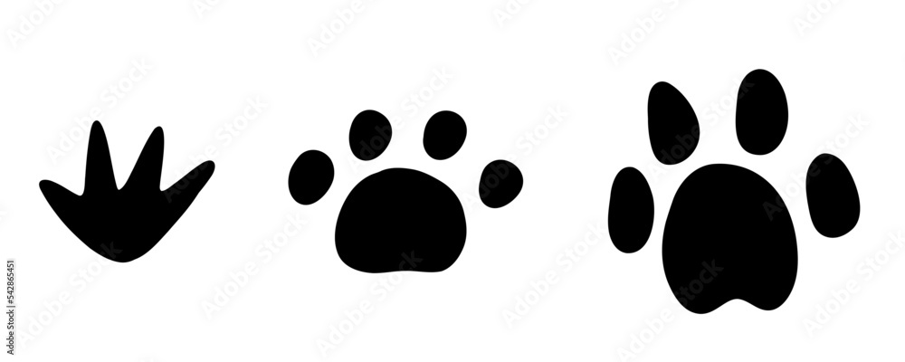 Fototapeta premium Paw print. Trace of animal. Pawprint of cat, dog, frog, lion, tiger, bear. Vector black icon illustration on a white background.