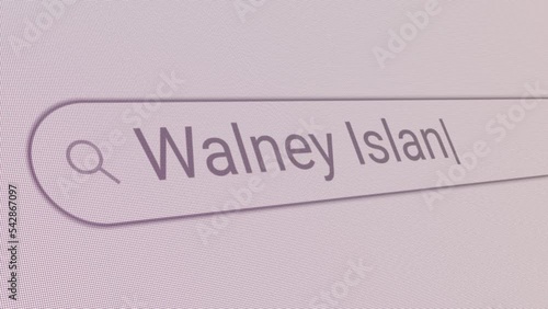 Search Bar Walney Island 
Close Up Single Line Typing Text Box Layout Web Database Browser Engine Concept photo