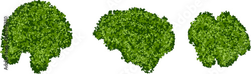 Set of green moss islets or forest lichen with realistic texture isolated on white background. Marsh plants, bog flora. Vector illustration