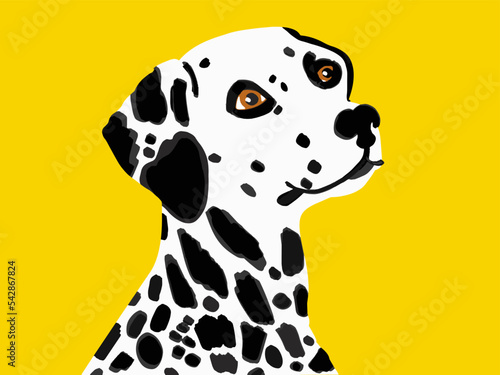 Abstract Hand Drawing Cute Dalmatian Dog Portrait Placement Print Vector Pattern Isolated Background