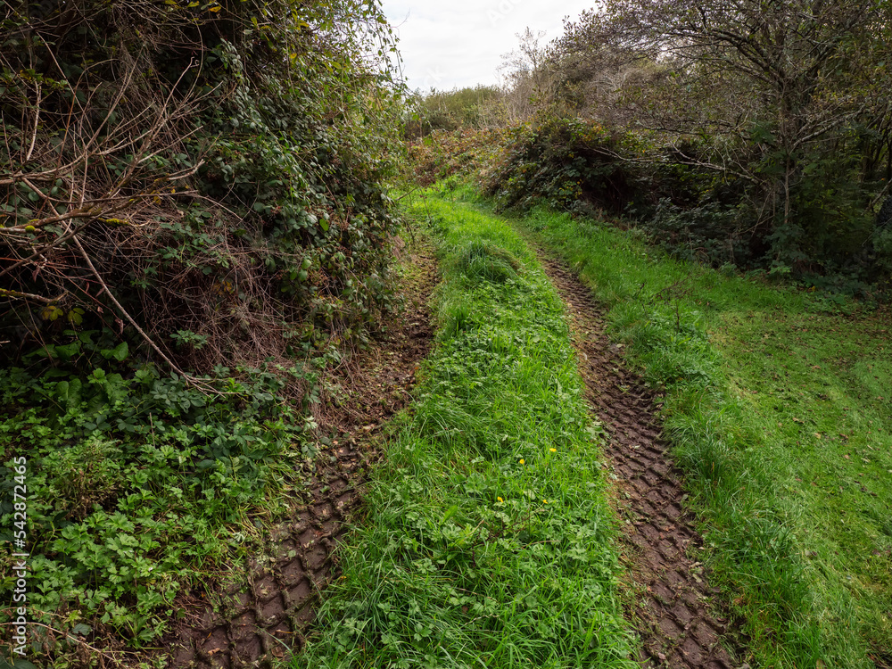 Deep tractor tire trail on a green grass in a field, Agriculture industry or work in a park concept. Deep tractor tire trail on a green grass in a field, Agriculture industry or work in a park concept.
