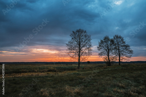Fototapeta Naklejka Na Ścianę i Meble -  Jesienny wschód słońca na łące
