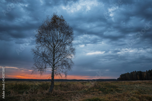 Fototapeta Naklejka Na Ścianę i Meble -  Pochmurny wschód słońca