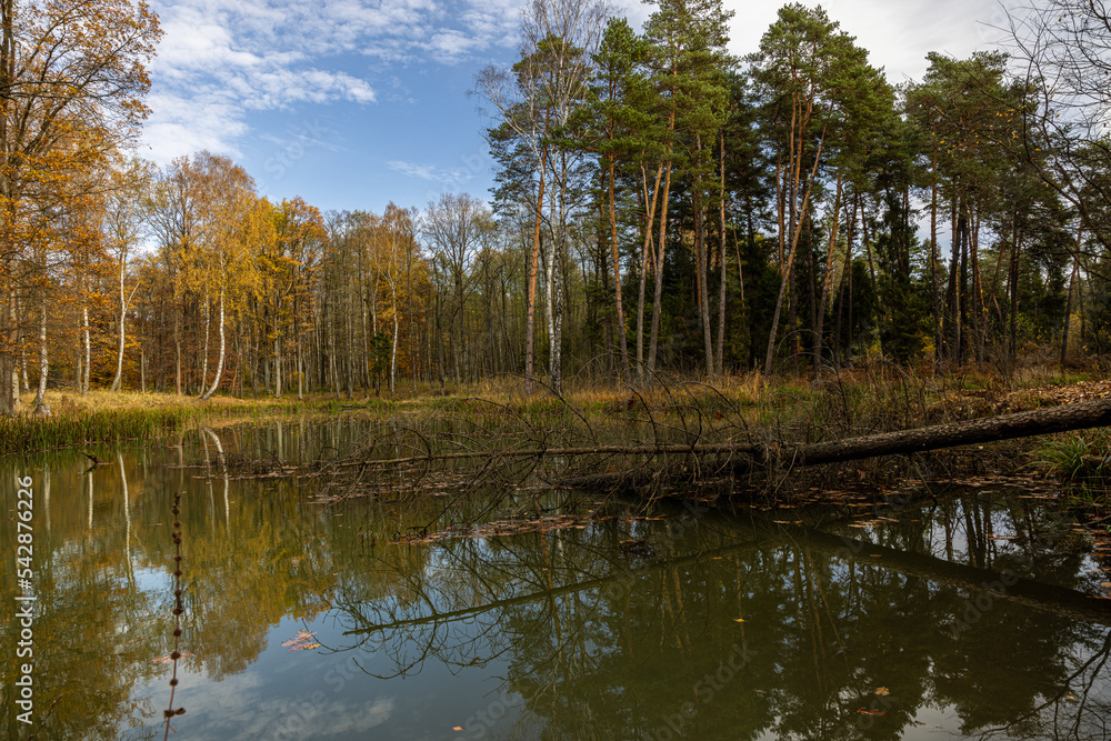 Small lake in Autumn. 
