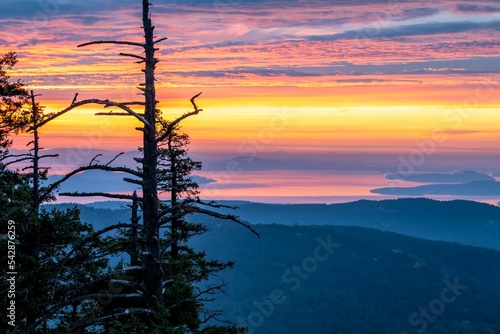 View from Mount Maxwell Provincial Park, Salt Spring Island, BC Canada photo