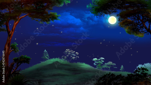 Moonlit Summer Night illustration