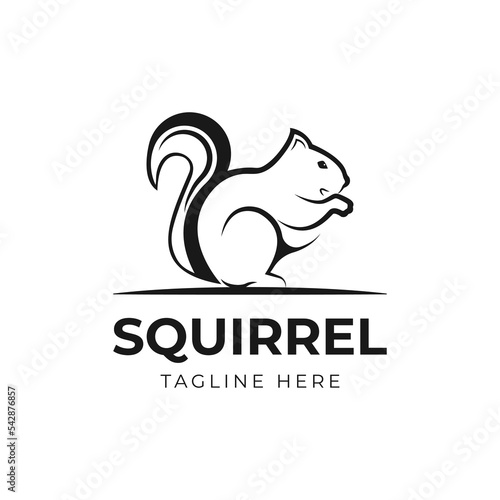 Squirrel line icon  logo isolated on white background