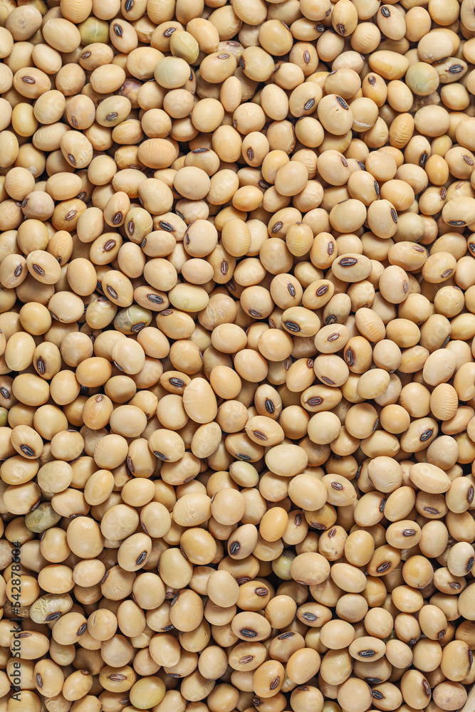 Soy Beans (Dried Soya Beans, Food Grain). Soybeans background Soy Beans (Dried Soya Beans, Food Grain). Soybeans background