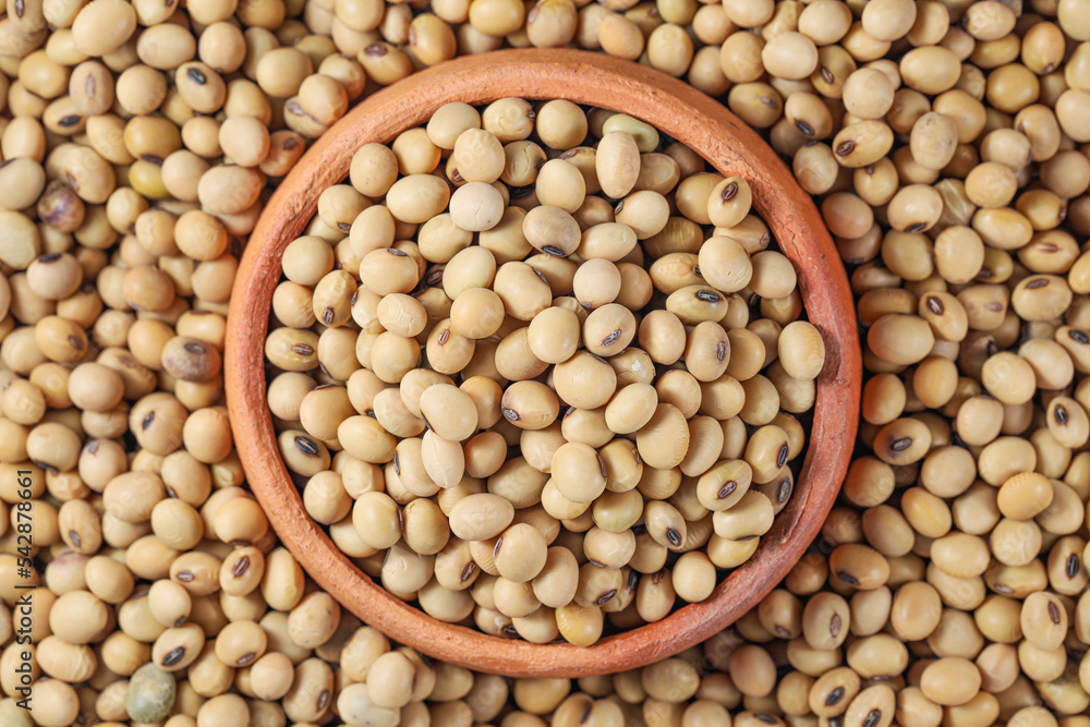 Soy Beans (Dried Soya Beans, Food Grain). Soybeans in Pottery Soy Beans (Dried Soya Beans, Food Grain). Soybeans in Pottery