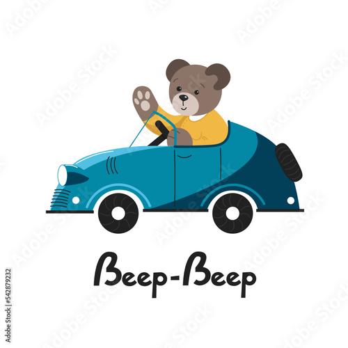 Cute bear is driving a car