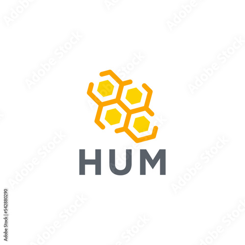 hive and hexagonal logo design templates