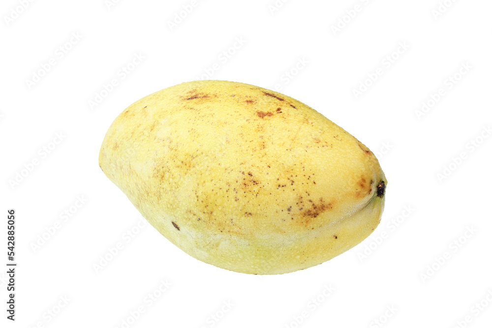 Ripe Mango isolated on transparent background. Ripe Mango isolated on transparent background.