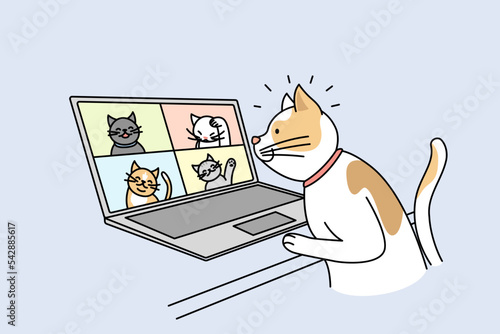 Cute cat talk on video call with cats on computer. Pet have webcam conversation on laptop with kittens. Technology concept. Vector illustration. 