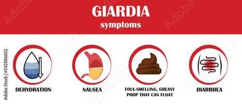 Giardia, symptoms of disease, icon vector photo