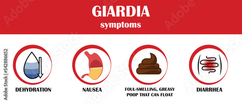 Giardia, symptoms of disease, icon vector