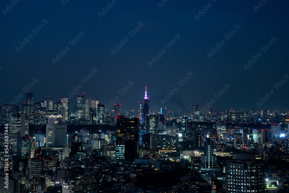 Fototapeta premium Tokyo's night landscape shot from Ebisu area to cover key Tokyo main districts