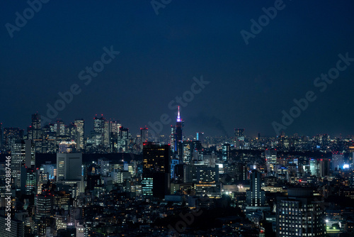Tokyo's night landscape shot from Ebisu area to cover key Tokyo main districts photo